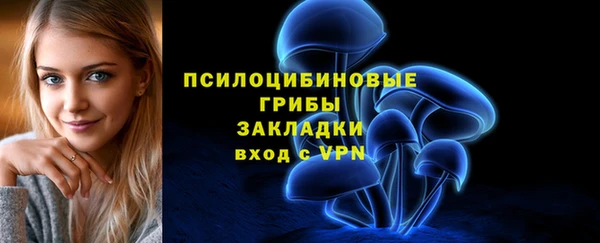 хмурый Богородск