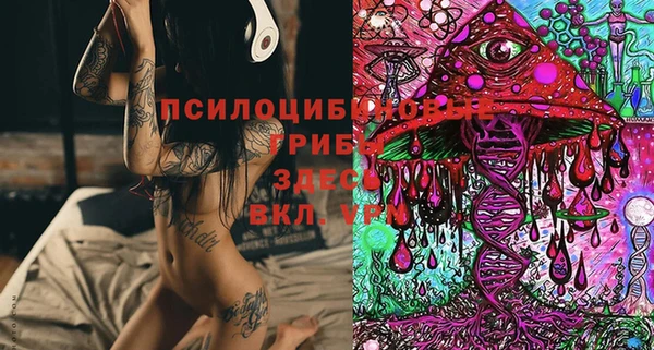 марки nbome Белокуриха