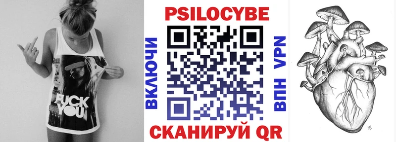 хочу   Богородицк  Галлюциногенные грибы GOLDEN TEACHER 